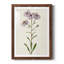 Mauve Garden Flowers III - peinture encadrée-53124331-53124334