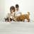 12'' X 12'' x 0.05" Peel and Stick Vinyl Tile Flooring-90980126