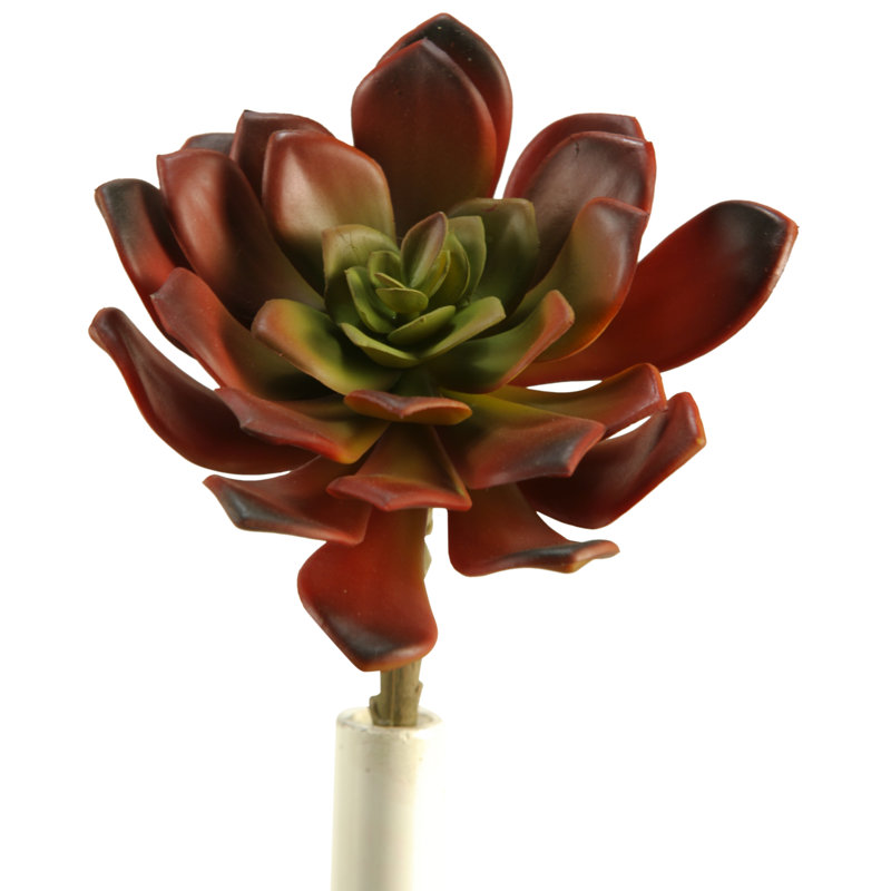5.75'' Faux Echeveria Stem