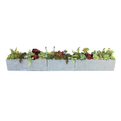 Faux Succulent Plant in Planter