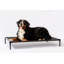 Lit pour chien Cooling-1431216284