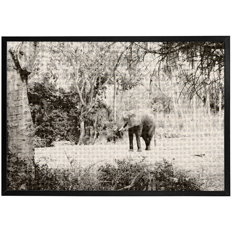 Elephant Jungle - Single Picture Frame Print, Black, 76cm H x 114cm W x 4cm D
