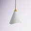 Luminaire suspendu simple en métal à 1 lumière avec plafond Gertrude-93418509-93418496