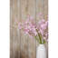 Anastasija Arrangement-1374141307