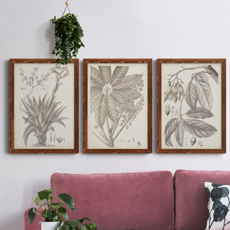 «Sepia Exotic Plants IV», ensemble de 3 peintures sur toile encadrées, H 43,5 po x l 31,5 po x P 1 po, Érable