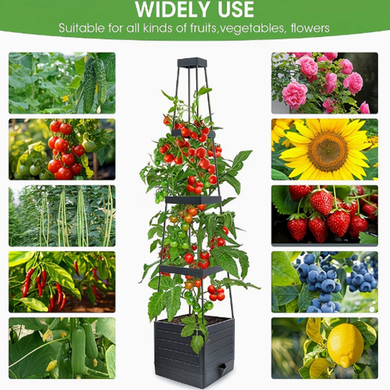 Plant Stand - Set of 2
