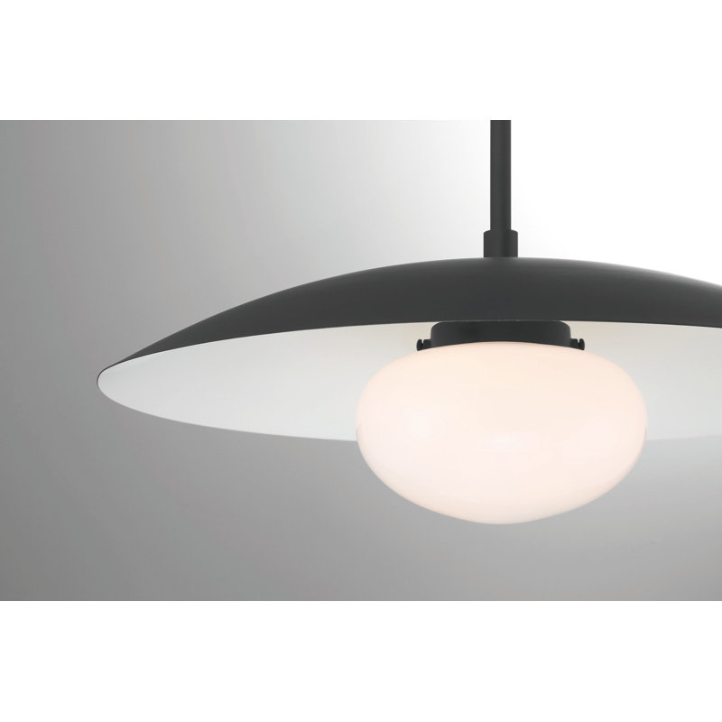 Luminaire suspendu simple à 1 lumière Del, Noir