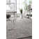 Artimas Abstract Transitional Performance Grey Rug