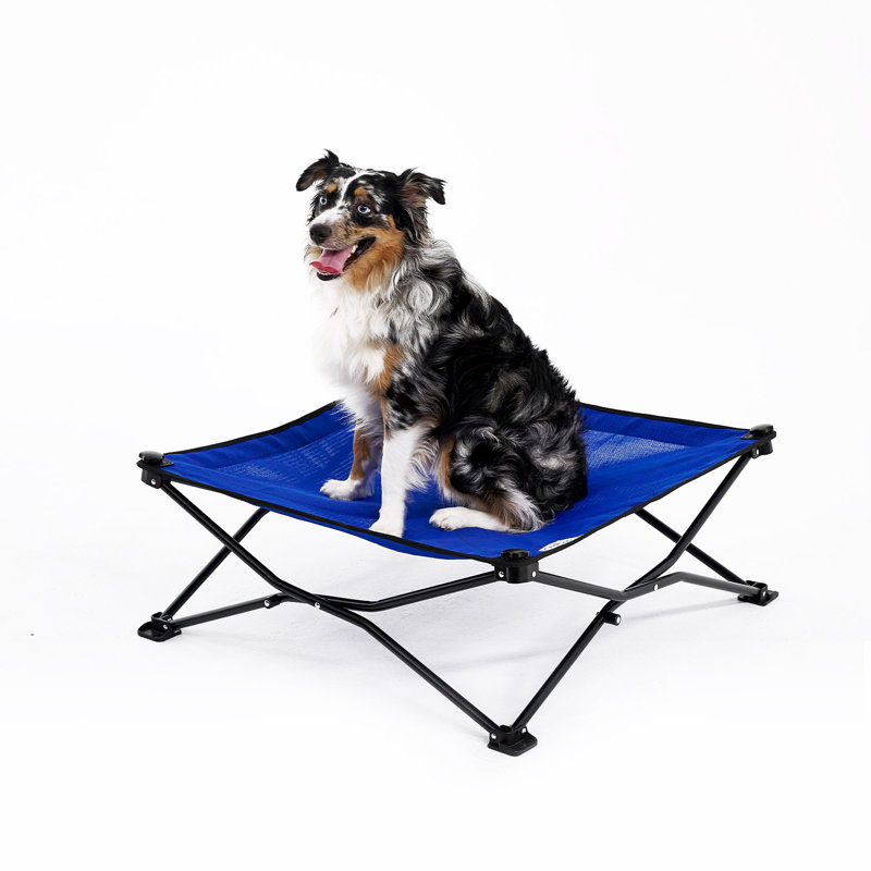 Lit pour animal de compagnie, H 8 po x l 30 po x P 30 po, Bleu aquatique