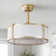 19'' Modern Ceiling Fan With Light