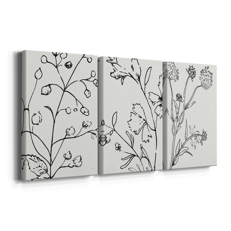 Botanical S croquis I - Toile tendue avec châssis sur mesure - 3 pièces, H 12 po x l 24 po