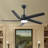 Lecole 52'' Ceiling Fan with LED Lights-1933106