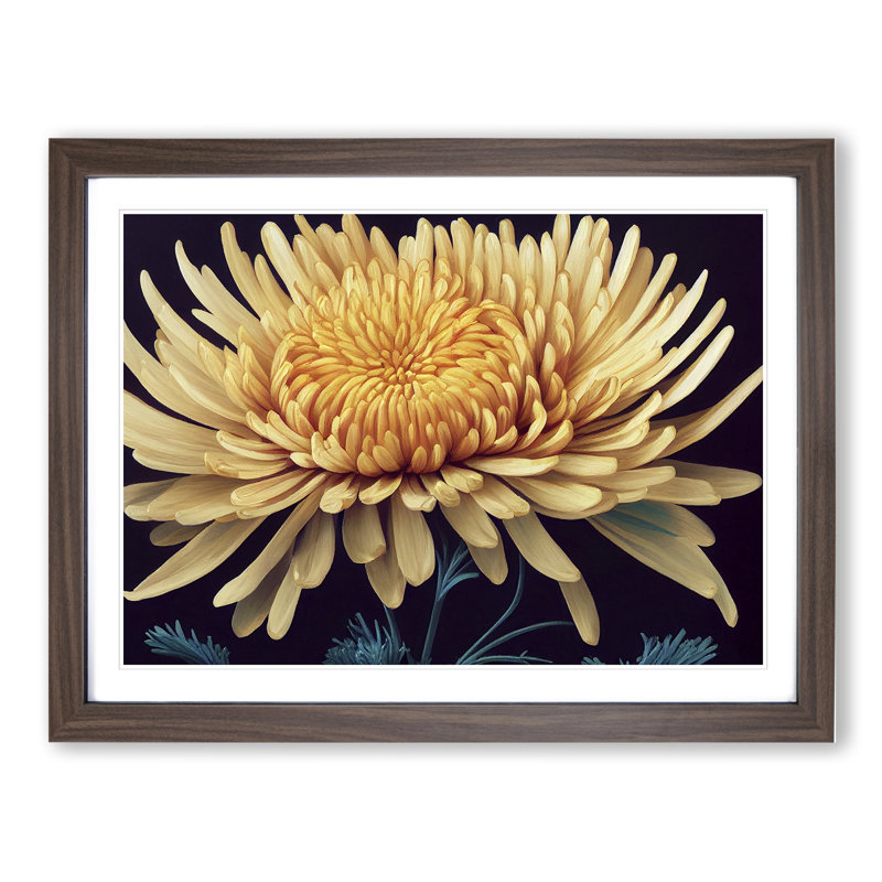 Charming Chrysanthemum Flower - Framed Print, 34cm H x 46cm W x 2cm D, Walnut