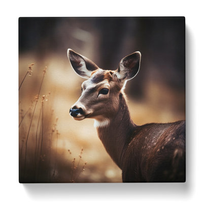 Deer Photograph - Print