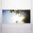 Tree Classroom Fluorescent Light Covers for Ceiling Lights - For 2x4 Light Fixture - by Octo Lights