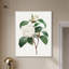 Toile de camélia blanc par Art Remedy-112532907-113420524-113420531