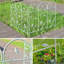 Fence Panels-116074014