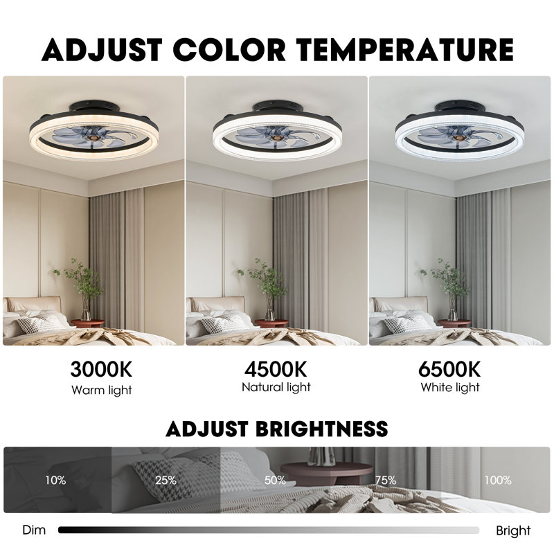 Demaury 20'' Flush Mount Dimmable Ceiling Fan with LED Lights, Black