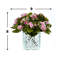 Variegated Pink/White Kalanchoe Arrangement