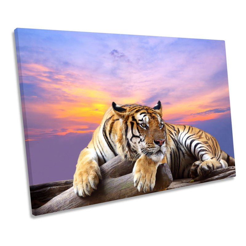 Tiger Sunset - Wrapped Canvas Print, 30.5cm H x 45.7cm W x 2cm D