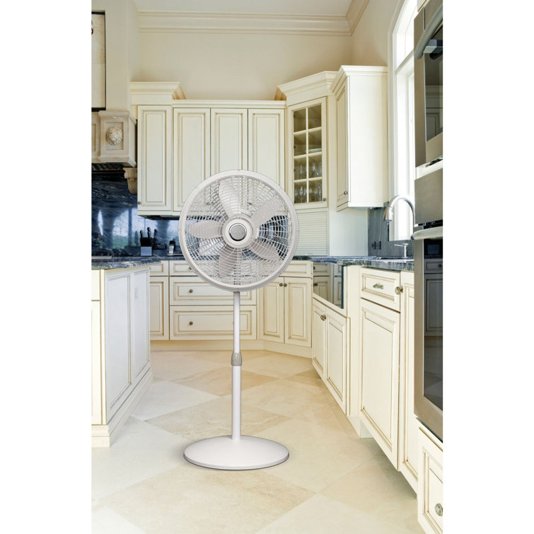 Lasko 18 Oscillating Pedestal/Standing Fan u0026 Reviews | Wayfair