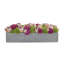 Assorted Sedum and Roses in Fiberstone Planter-844902034-844902045