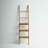 Ladder Bookcase