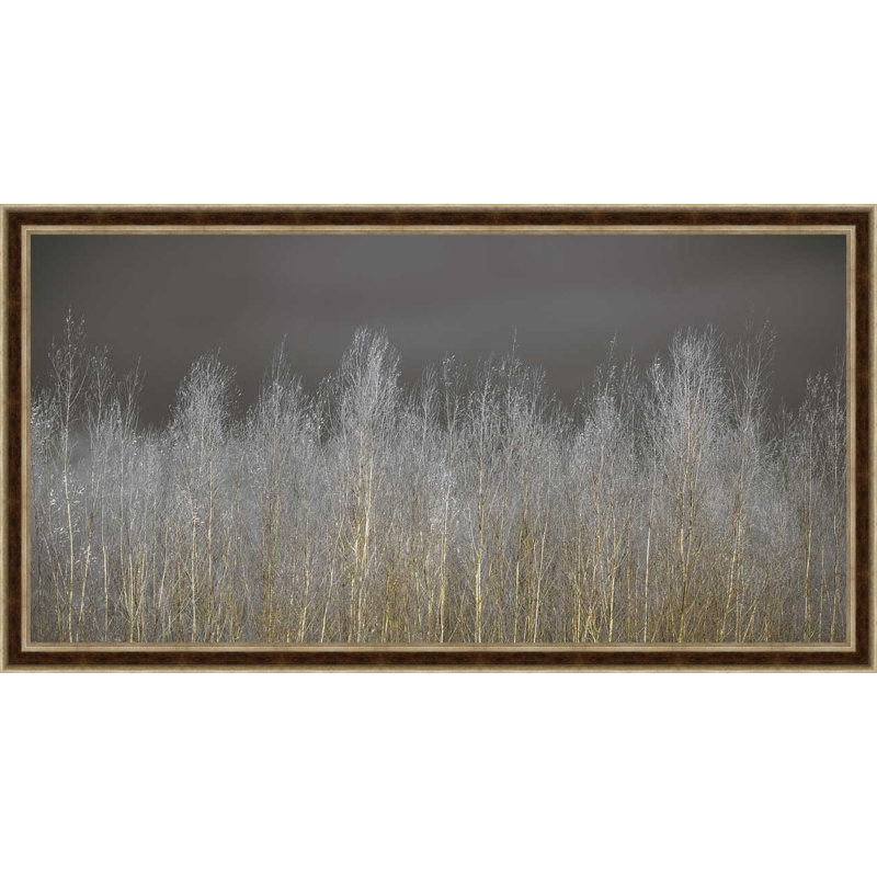 « silver forest », reproduction d’impression sur toile tendue encadrée