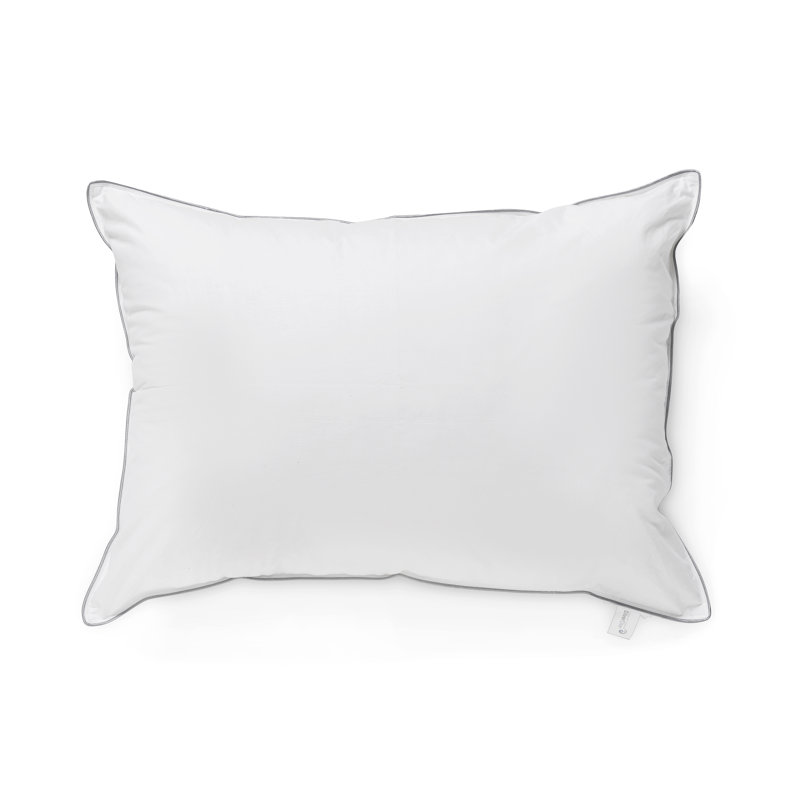 Coussin Davila, Très grand