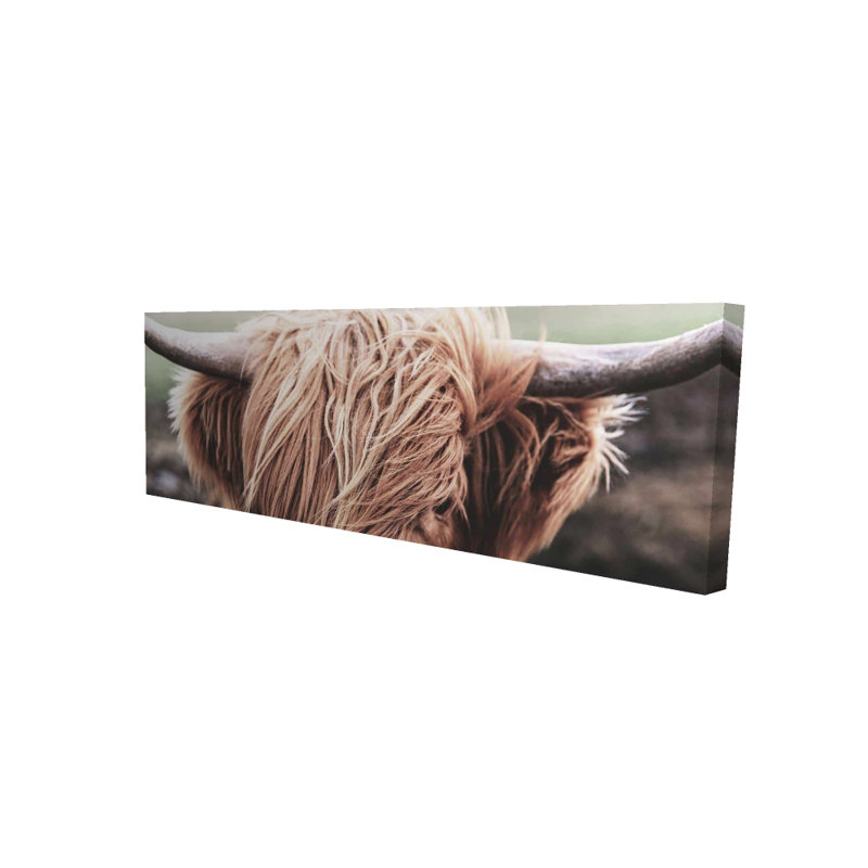Toile Desaturés Highland Cow - décor de ferme brun