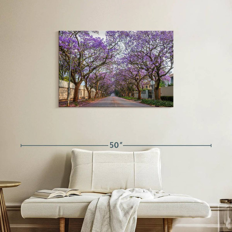 Sirci Saxonwold Jacaranda Lane, H 24 po x l 36 po