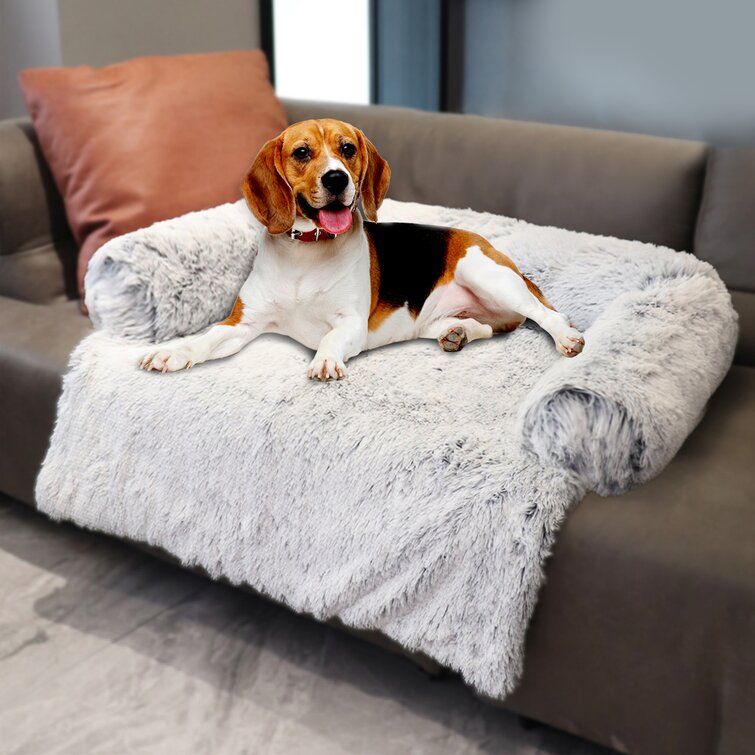 Calming Dog Bed Fluffy Plush Pet Sofa Couch Cover Pads Furniture Protector Mats Tucker Murphy Pet Size: Medium (35.4 W x 32.3 D x 7.9 H), Color: L