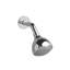 3-Function 3" Showerhead With Arm-1892750381