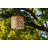 Antonucci 6.5'' Solar Powered Integrated LED Cylinder Lantern-1225634870