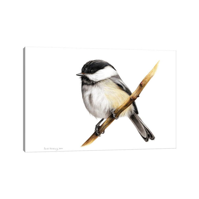 Mésange, H 18 po x l 26 po x P 1,5 po