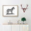 Zebra in Black & White by George Shaw - Picture Frame Drawing Print-55641216-55641223