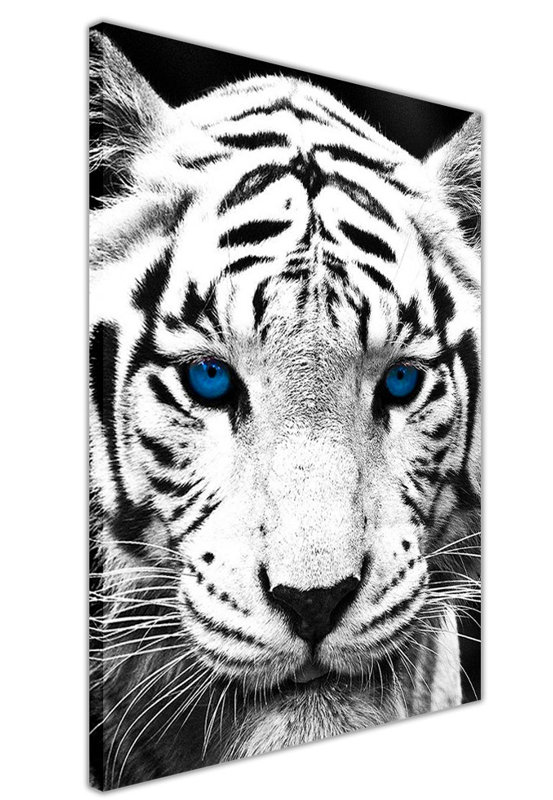 Wrapped Canvas Print, 76cm H x 50cm W
