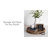 Delafuente Round Wood and Metal Decorative Tray-227875873
