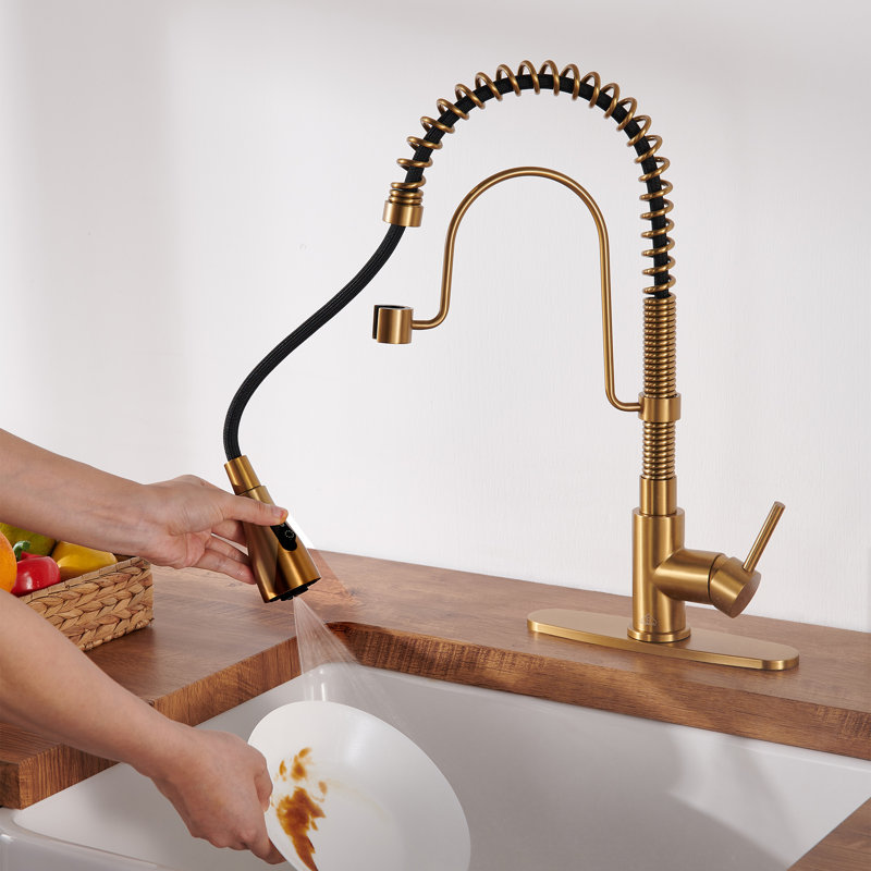 Bolden CASAINC 1.8 GPM Spring Neck Pull Down Kitchen Faucet with Deck Plate, Brushed Gold