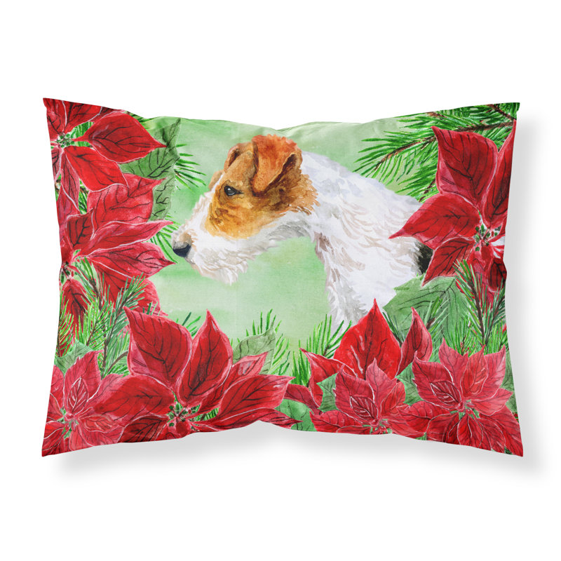 Microfiber, Fox Terrier