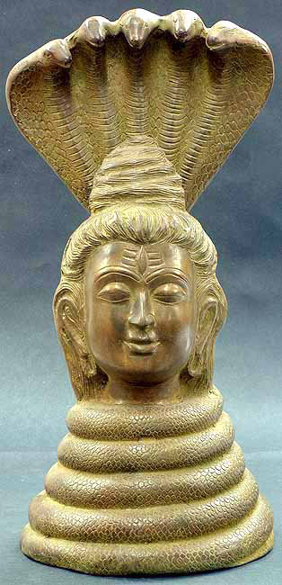 Shiva As Nagaraja