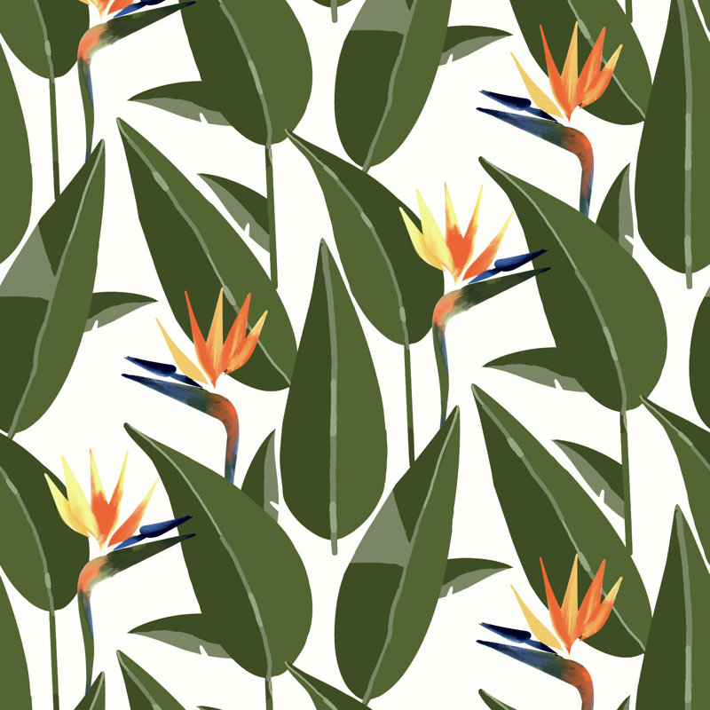 Birds of Paradise - Papier peint blanc