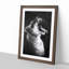 Yawning Lioness - Framed Print-55614461-55614464