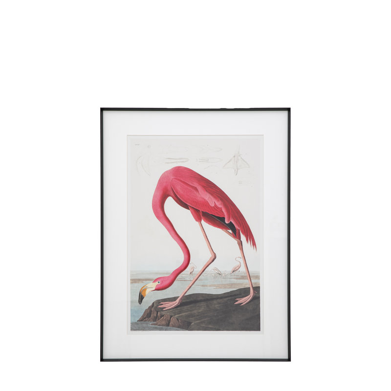 Single Picture Frame Print
