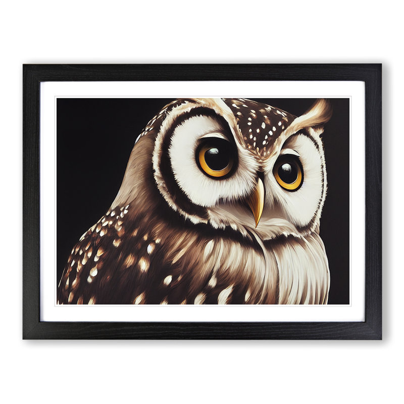 Face Of An Owl Vol.4 - Single Picture Frame Print, 34cm H x 46cm W x 2cm D, Black Framed