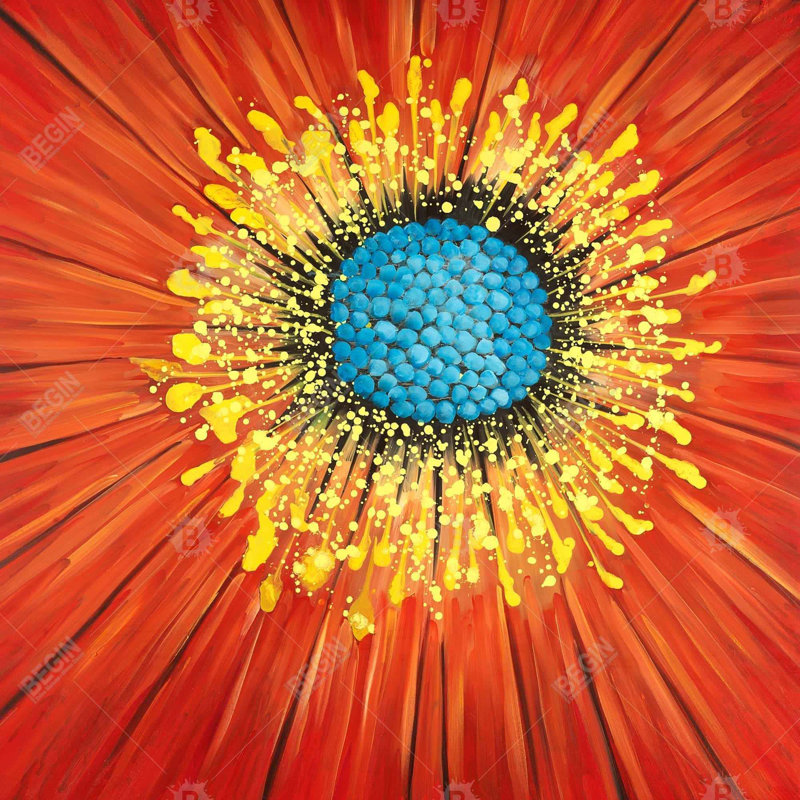 " Closeup On A Red Flower "