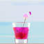 Amsterdam Liqueurs And Digestives-131376981