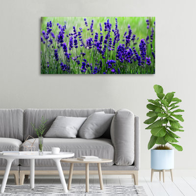 Lavender - Wrapped Canvas Print