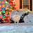 Metal Christmas Decoration