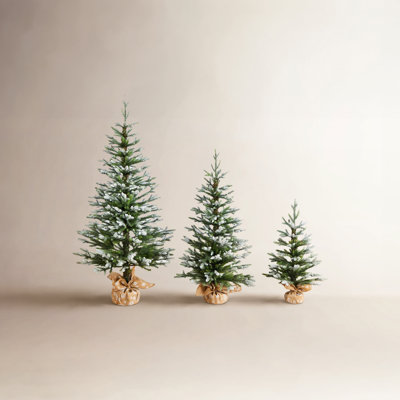 Balsam 4' Fir Christmas Tree
